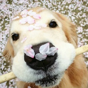 色精品视频在线观看
