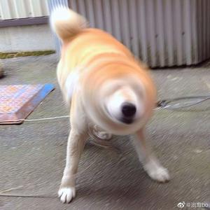 色精品视频在线观看
